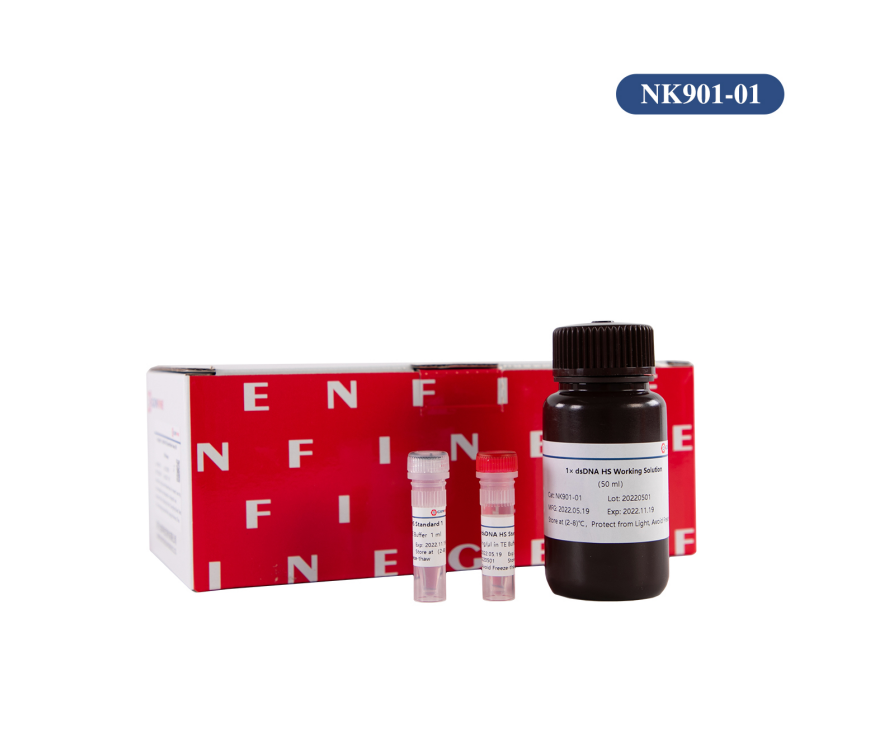 FineQubit 1× dsDNA HS Quantitation Assay Kit